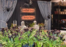 The flowers don’t look scary, but the dead faces in the back of the booth of Homestead Growers Niagara do, don’t they?